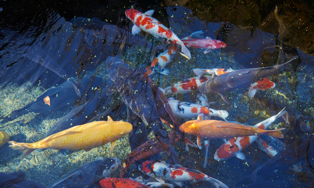 お子さんと一緒に