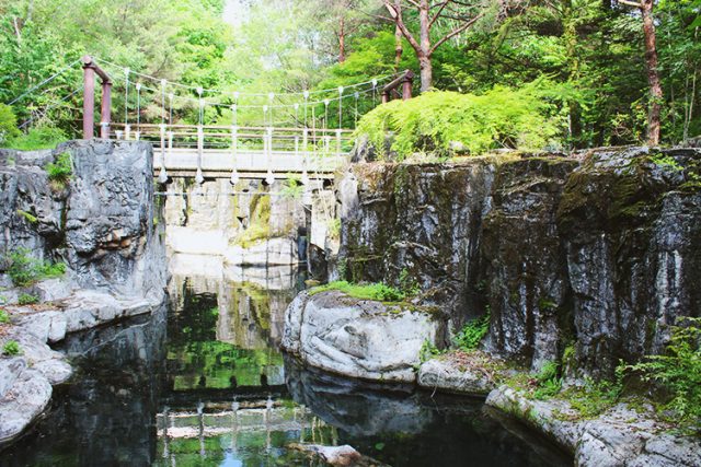 木曽川水園・自然発見館の紹介