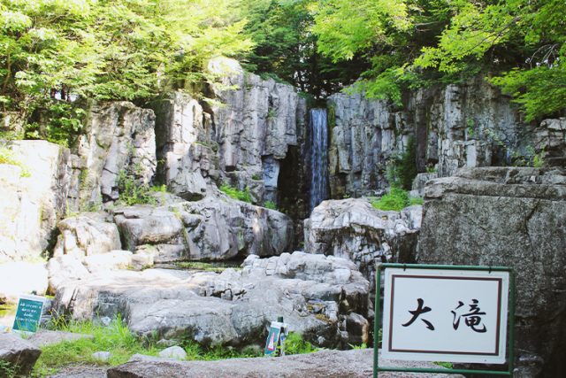 木曽川水園・自然発見館の紹介