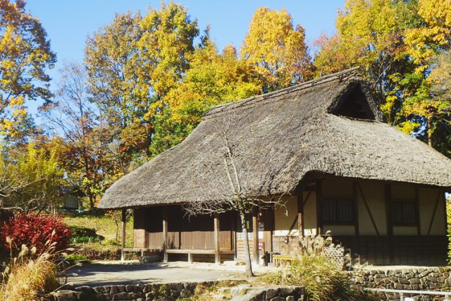 木曽川水園・自然発見館の紹介