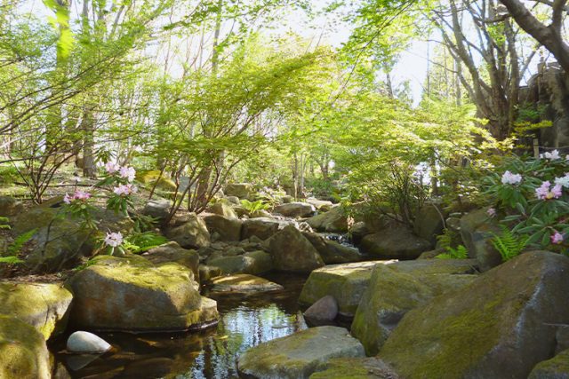 木曽川水園・自然発見館の紹介