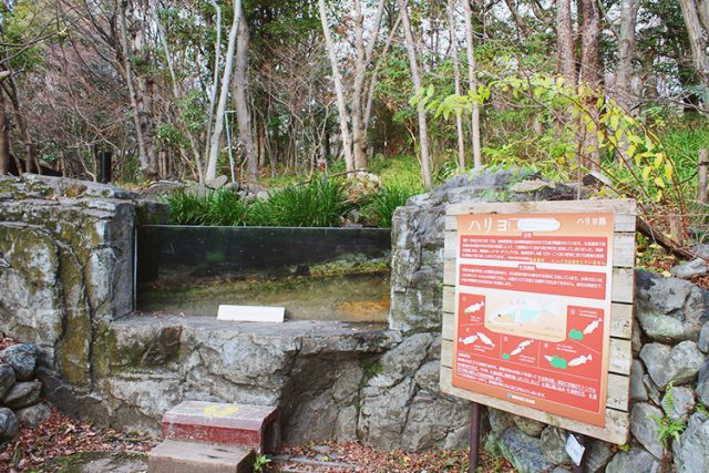 木曽川水園・自然発見館の紹介
